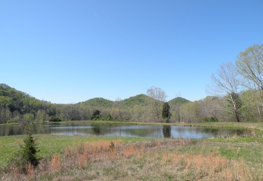 Lakeview Trail